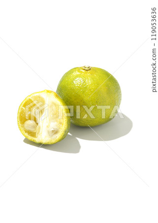 在白色背景拍攝 Shikuwasa 119053636