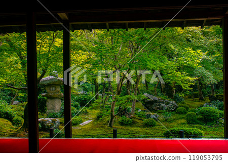 【京都風景】圓光寺 - 被寧靜包圍的壯麗花園 119053795