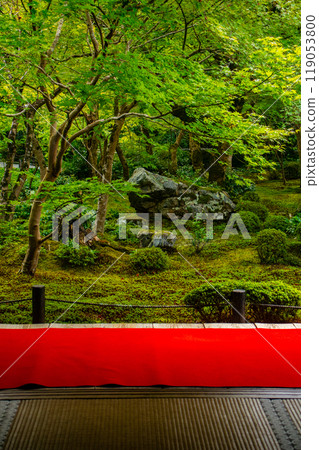 [Kyoto Scenery] Enkoji Temple: A magnificent garden enveloped in tranquility 119053800