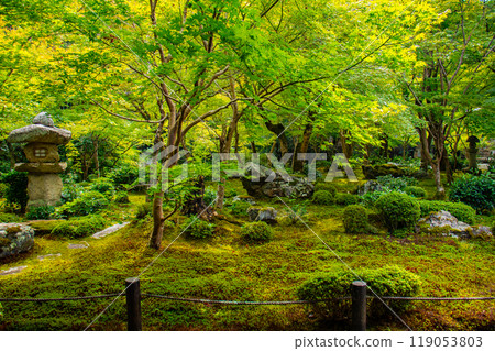 【京都風景】圓光寺 - 被寧靜包圍的壯麗花園 【京都風景】圓光寺 - 被寧靜包圍的壯麗花園 119053803