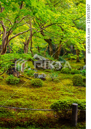 [Kyoto Scenery] Enkoji Temple: A magnificent garden enveloped in tranquility 119053807