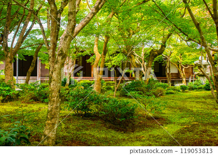 [Kyoto Scenery] Enkoji Temple: A magnificent garden enveloped in tranquility 119053813