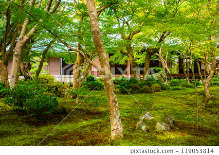 [Kyoto Scenery] Enkoji Temple: A magnificent garden enveloped in tranquility 119053814