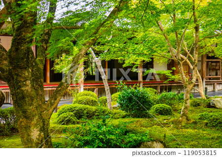 【京都風景】圓光寺 - 被寧靜包圍的壯麗花園 119053815