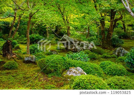 [Kyoto Scenery] Enkoji Temple: A magnificent garden enveloped in tranquility 119053825