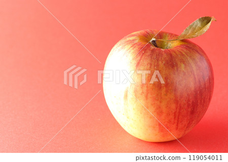 蘋果與葉子的單張照片 119054011