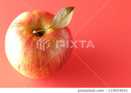 Single photo of an apple with leaves 119054041
