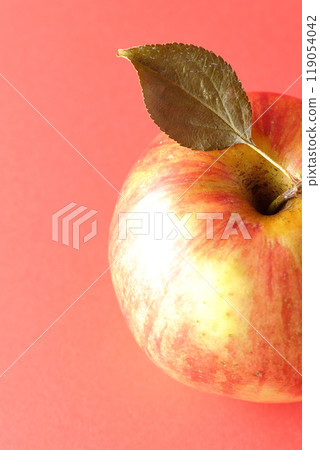 Single photo of an apple with leaves Single photo of an apple with leaves 119054042