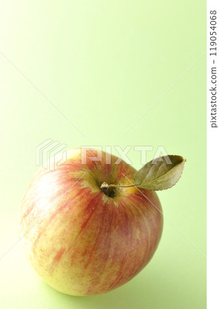 Single photo of an apple with leaves 119054068