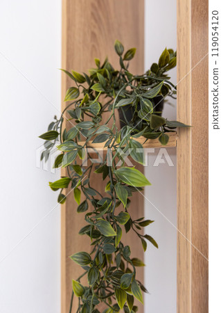 Indoor green plant on the shelf. Home interior 119054120