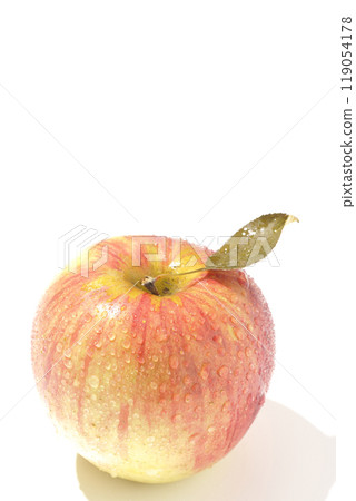 拍攝白色背景沒有葉子的蘋果 119054178