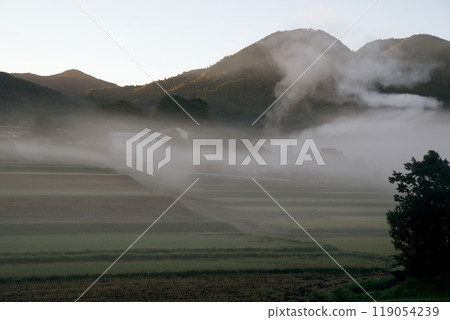 Rural landscape foggy morning autumn copy space 119054239