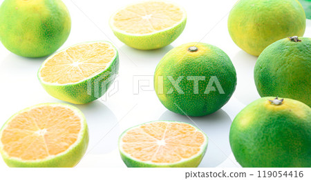 橘子（早橘）白底 119054416