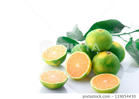 Mandarin oranges (early mandarin oranges) on white background 119054430