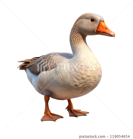 3d rendering of dynamic goose 119054654