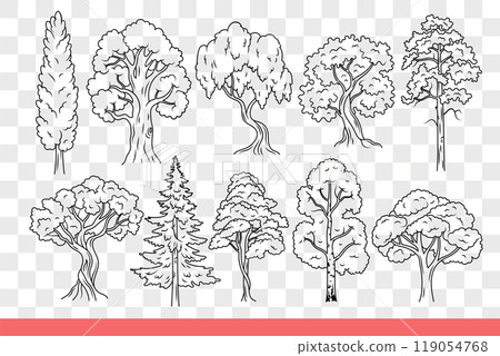 Trees with bushy crown of summer foliage, growing in city parks or wild wooded areas. Hand drawn. Trees with bushy crown of summer foliage, growing in city parks or wild wooded areas. Hand drawn. 119054768