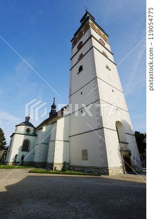 Co-Cathedral in Zywiec city in Poland - vertical Co-Cathedral in Zywiec city in Poland - vertical 119054775