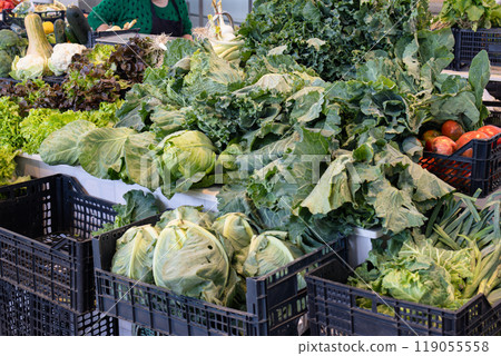 Fresh green vegetables cabbage and lettuce on market stall for sale 119055558
