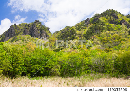 Fresh green sacred mountain 119055808