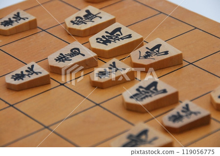 將棋的對手 將棋的對手 119056775