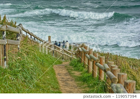 Path to the tip of Cape Kiritappu 119057394