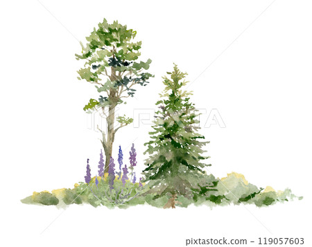 Scenery landscape of forest meadow with bushes, lupin flowers, pine fir spruce tree in lush grass, hand drawn in watercolor. Illustration for tourism maps, resort ads, hiking camping sites vacation. Scenery landscape of forest meadow with bushes, lupin flowers, pine fir spruce tree in lush grass, hand drawn in watercolor. Illustration for tourism maps, resort ads, hiking camping sites vacation. 119057603