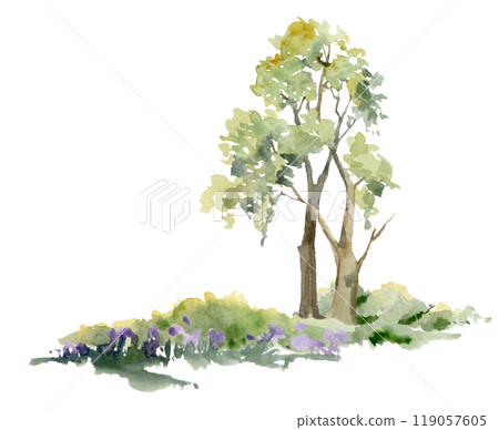 Scenery landscape of lush green foliage tree, northern forest meadow hills, bushes, purple flowers, watercolor hand drawn. Illustration for tourism maps, resort ads, hiking camping sites, vacation. Scenery landscape of lush green foliage tree, northern forest meadow hills, bushes, purple flowers, watercolor hand drawn. Illustration for tourism maps, resort ads, hiking camping sites, vacation. 119057605