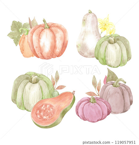 Hand drawn watercolor set of ripe pumpkins isolated on white background. Rural illustration Can be used for postcard, label, scrapbook and other printed products. 119057951