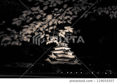 Night Castle ~Tsuruga Castle~ Night Castle ~Tsuruga Castle~ 119058307