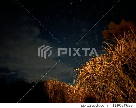 Night sky of autumn Night sky of autumn 119058652