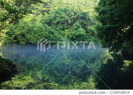 Morning Mist Pond 3 119058654