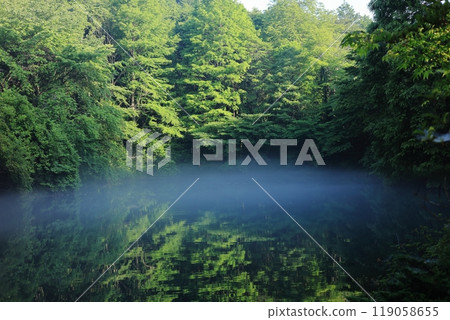 Morning Mist Pond 2 119058655