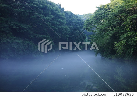 Morning Mist Pond 1 119058656