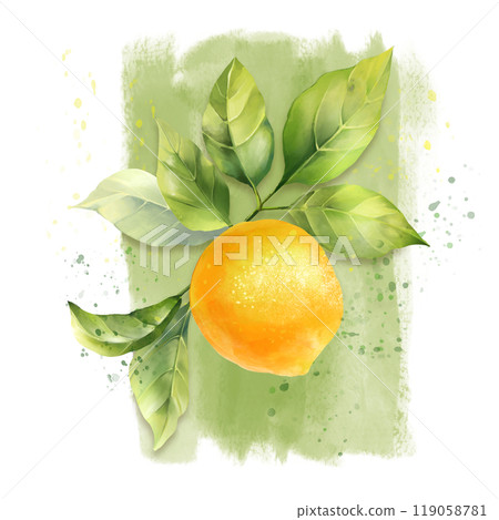 Lemon with leaves. Hand drawn illustration. 119058781