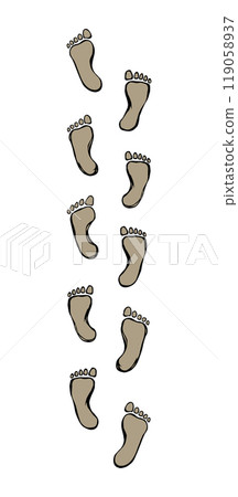 Foot. Vector drawing 119058937