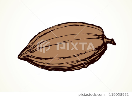 Cocoa Fruits. Vector drawing Cocoa Fruits. Vector drawing 119058951