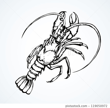 Lobster. Vector drawing Lobster. Vector drawing 119058972