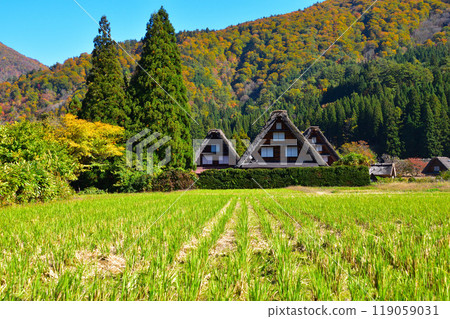 Autumn Shirakawa-go 119059031