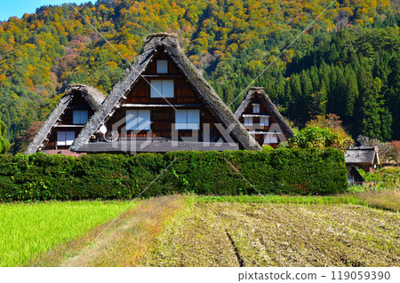 Autumn Shirakawa-go 119059390