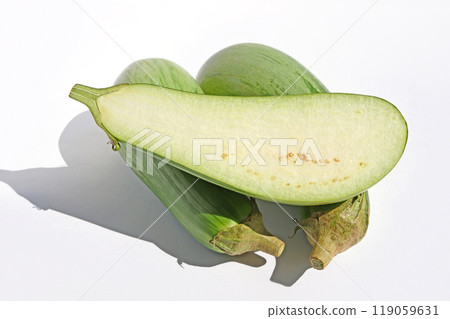 茄子（厚茄子） 119059631