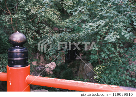 [京都] 伏見稻荷大社的庭院裡，秋葉茂盛 119059810