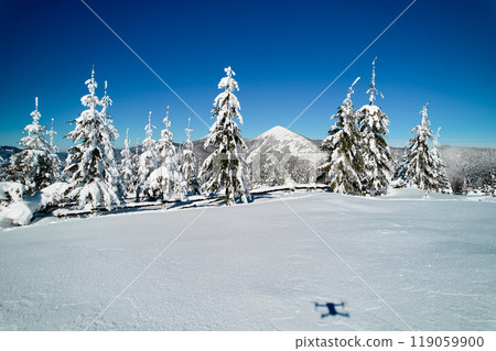 Winter scene with snow-covered trees standing tall under brilliant blue sky. Majestic mountain peak rises, framed perfectly by trees. Shadow of drone visible on the pristine snow. 119059900