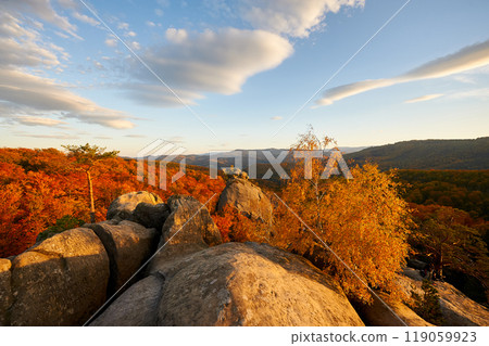Golden-hued birch tree stands against backdrop of sunlit rocks and autumn forest. Vibrant foliage glows warmly under evening sky, with fluffy clouds. Dovbush Rocks, Carpathian mountains, Ukraine. 119059923