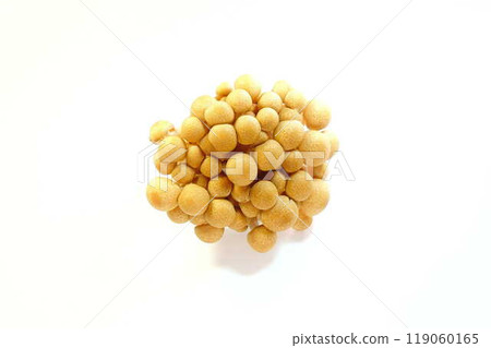 King oyster mushroom 119060165