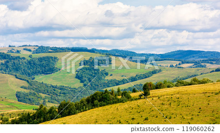 mountainous countryside scenery of ukraine on a sunny autumn day. rolling hills and grassy pastures. panoramic green environment 119060262