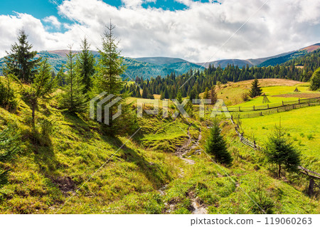 rural valley of ukraines podobovets. sunny autumn weather. green grassy hill and forested rolling hills. borzhava ridge of carpathian mountain landscape in the distance. alpine caountryside 119060263