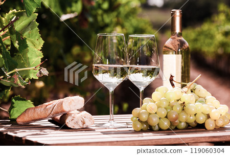 Glass of White wine ripe grapes and bread on table in vineyard Glass of White wine ripe grapes and bread on table in vineyard 119060304