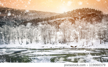 Winter landscape 119060379