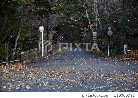 枯葉在枯樹上翩翩起舞， 119060788