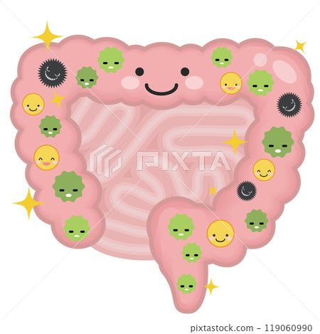 Healthy intestines 119060990